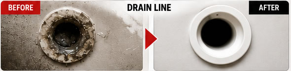 Before and after drain line cleaning